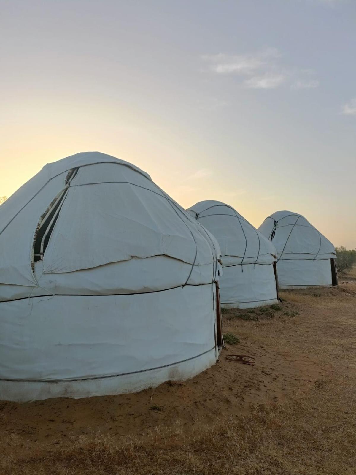 Kyzylkum Nights Camp & Family Yurt Hotel Nurota Ngoại thất bức ảnh
